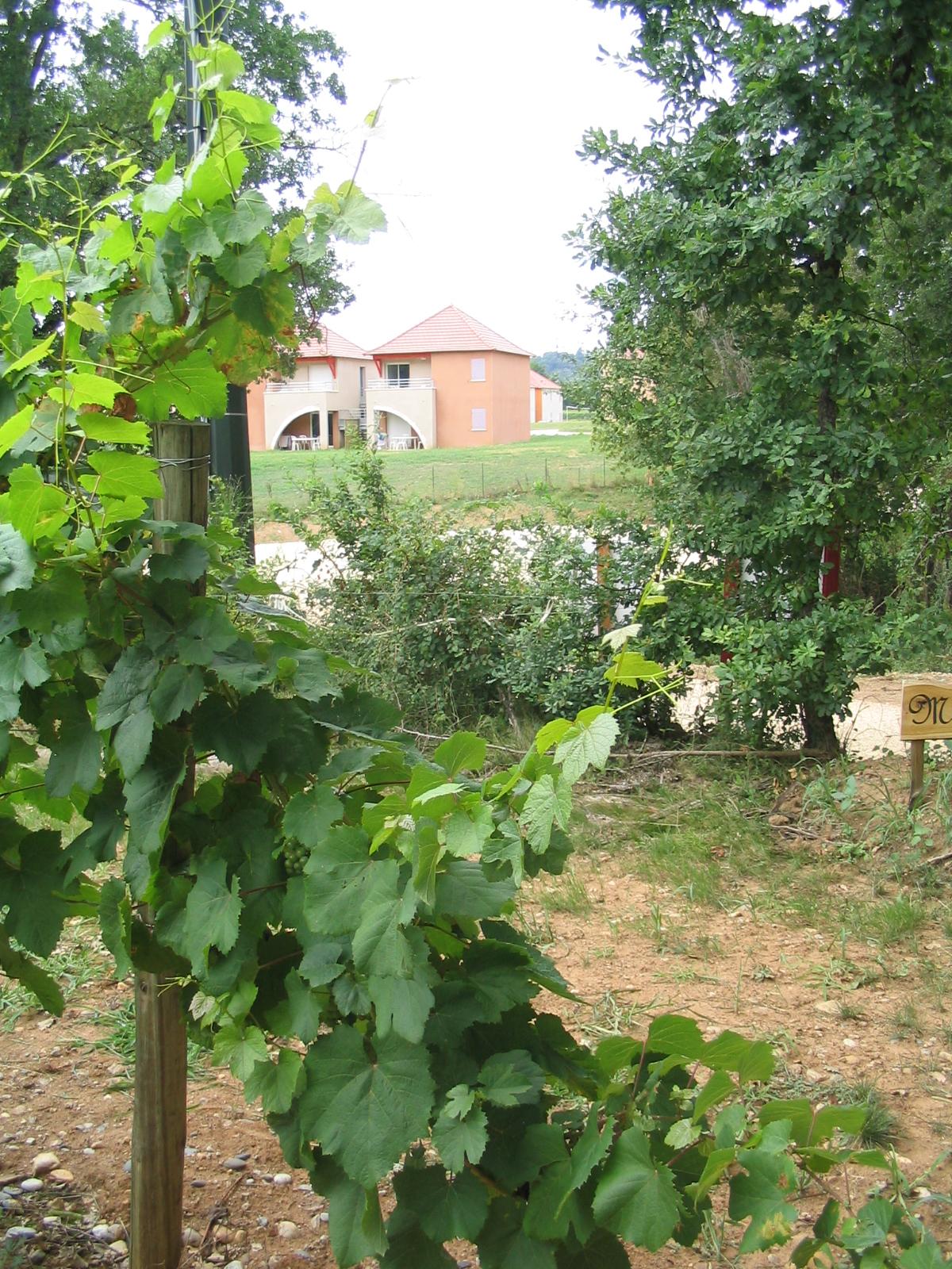 Terres De France - Domaine De Claire Rive Hotel Prayssac Exterior photo
